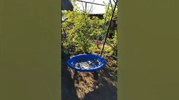 Качели - гнездо. #Самоделка #diy