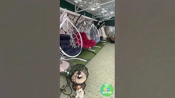 Коконы по низким ценам. Недорого. Огромный выбор подвесных кресел.