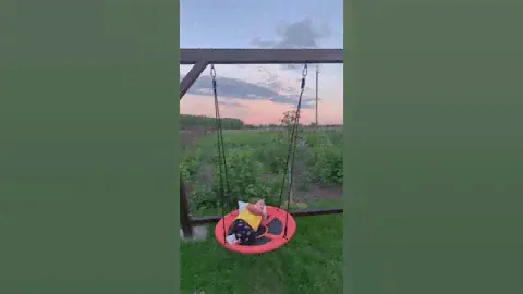 Качели гнездо